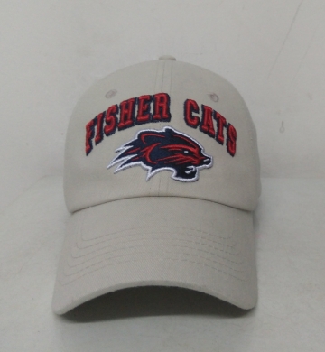 6 MÚI COTTON FISHER CATS